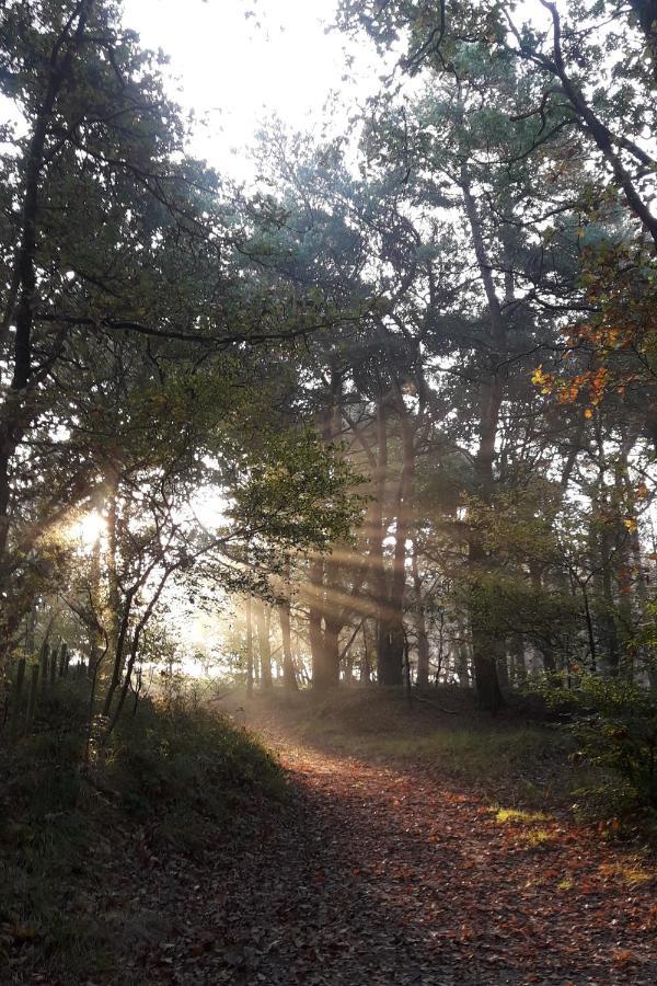 Inn The Woods - Private Stay Overberg エクステリア 写真