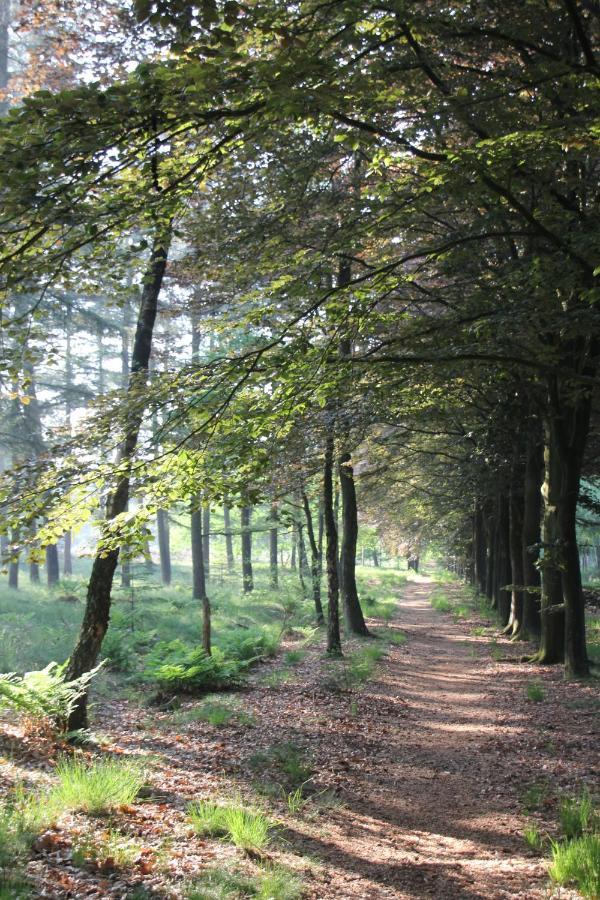 Inn The Woods - Private Stay Overberg エクステリア 写真